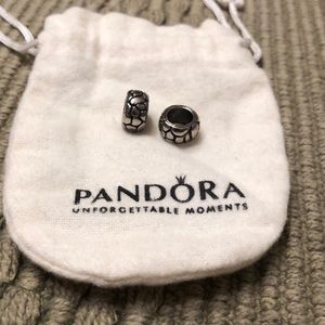 Pandora Charms